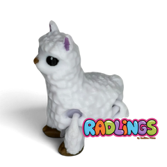 Alfie (Alpaca)
