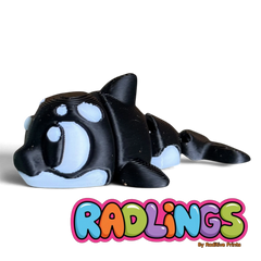 Finn (Orca)