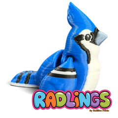 Jinx (Blue Jay)
